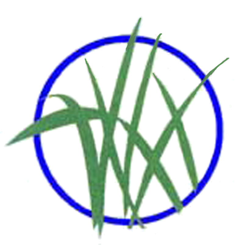 Therapy Partnership logo