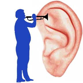 tinnitus ear